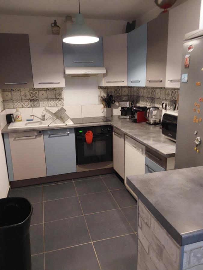Ars-sur-Moselle Appartement Cocooning מראה חיצוני תמונה